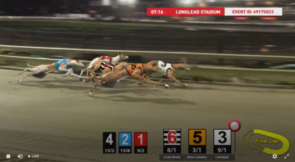 virtual sports wetten bei ladbrokes